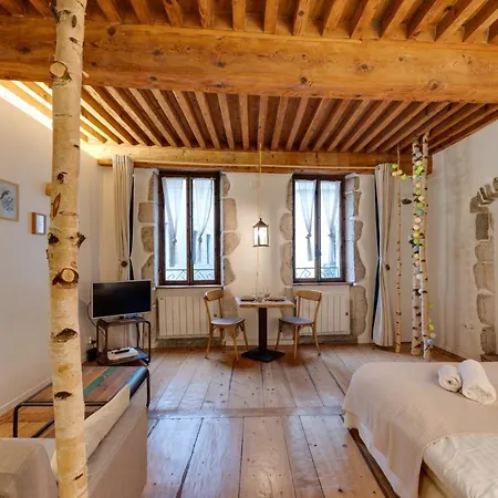 La Cour Filaterie - Of 30 Sq M In The Breakfast Included * Annecy